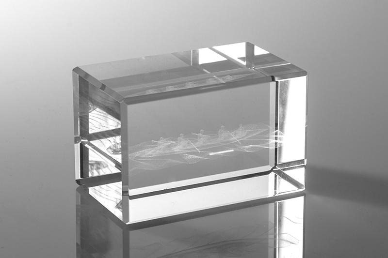 Rowing Crew 3D Crystal